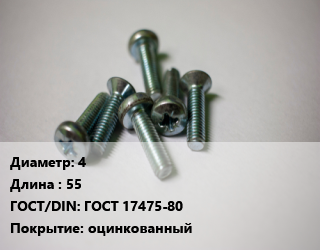 Винт 4х55 ГОСТ 17475-80 оцинкованный, кг цена от 198.99 Тг / кг, где купить, условия доставки в Петропавловске и Северо-казахстанской области